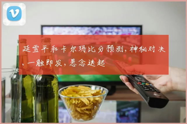 延雪平和卡尔玛比分预测,神秘对决,一触即发,悬念迭起