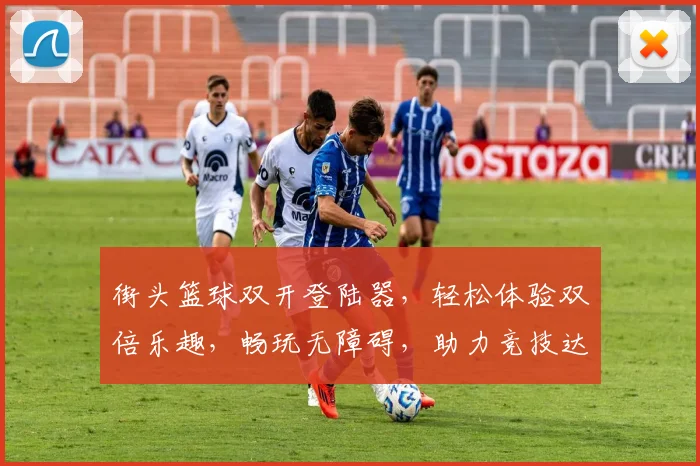 街头篮球双开登陆器，轻松体验双倍乐趣，畅玩无障碍，助力竞技达人