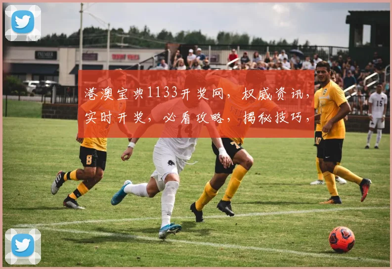 港澳宝典1133开奖网，权威资讯，实时开奖，必看攻略，揭秘技巧，助你赢翻天