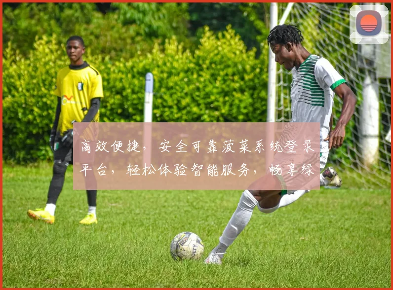 高效便捷，安全可靠菠菜系统登录平台，轻松体验智能服务，畅享绿色生活